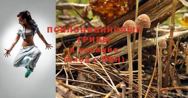 а пвп мука Навашино