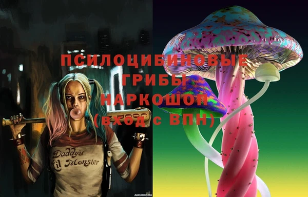 дурь Наволоки