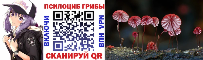 Псилоцибиновые грибы Psilocybine cubensis Чекалин